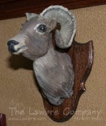 0761 - (H) Bighorn Sheep